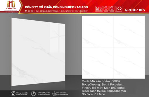 Gạch lát 600X600