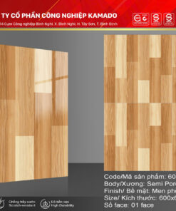 Gạch lát 600X600