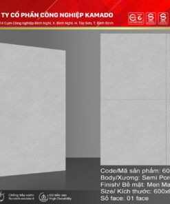 Gạch lát 600X600