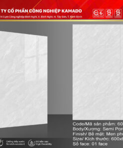 Gạch lát 600x600