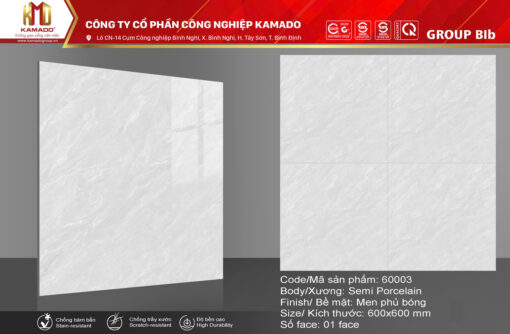 Gạch lát 600x600