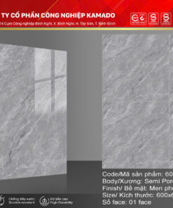Gạch lát 600x600