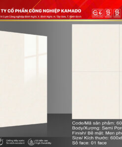 Gạch lát 600x600