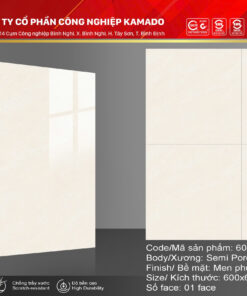 Gạch lát 600x600