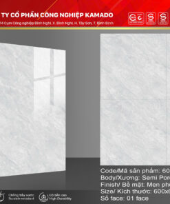 Gạch lát 600x600