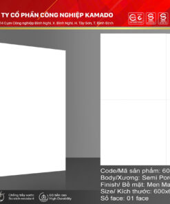 Gạch lát 600x600