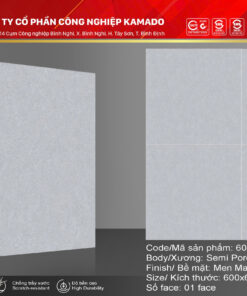 Gạch lát 600x600