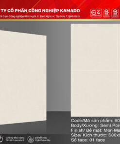 Gạch lát 600x600