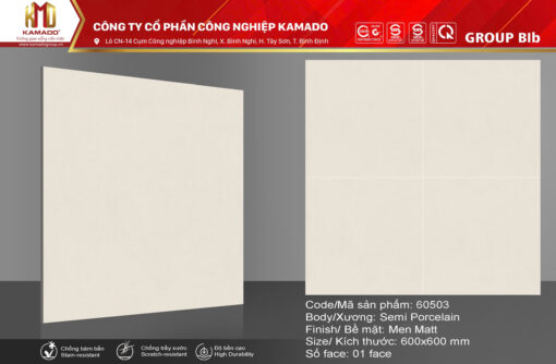 Gạch lát 600x600