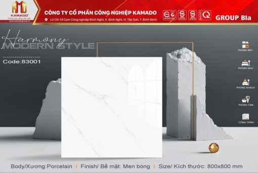 Gạch lát 800x800