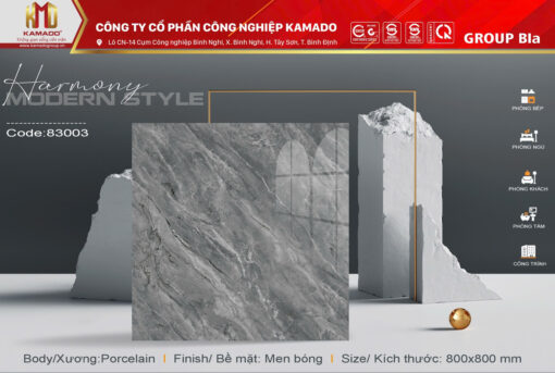 Gạch lát 800x800